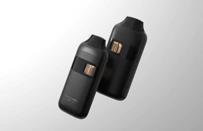 Voca Max